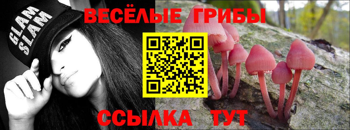 Барабинск  Галлюциногенные грибы Psilocybine cubensis  Вход с VPN 